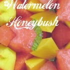 Mango Watermelon Honeybush from 52teas