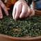 Hand Picked Early Spring Tieguanyin (2013) from Verdant Tea