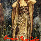 Guinevere's Orange Ceylon from Morgan Le Fay Personal Blends