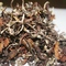 Margaret`s Hope ( Summer Delight) 2nd flush 2013 Darjeeling tea from Tea Emporium