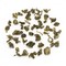 Jasmine Bi Luo Chun Green Tea from Teavivre