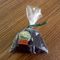 Apricot Loose Leaf from Planter's Seed Co.