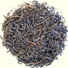 Nandana OP1 from t Leaf T