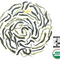 Jasmine Green Tea (Jasmine Yin Hao) from Rishi Tea