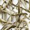 Organic Silver Needle White Tea from Arbor Teas