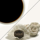 Ancient Trees Organic Pu-erh from Peet's Coffee & Tea