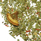 Green Yerba Mate from Teaopia
