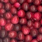 Cranberry Herbal Tea from Nativa Organics