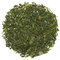 Sencha Superior from Rishi Tea