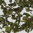 Peppermint from Apollo Tea