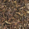 Castleton Estate Darjeeling from Chado