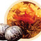 Jasmine Lovers from Numi Organic Tea