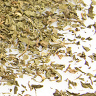 Vanilla Mint from T2