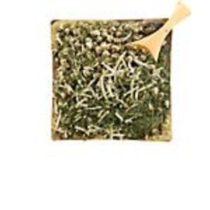 Detox Blend from Teavana