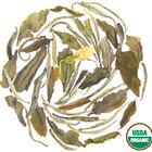 Peach Blossom from Rishi Tea