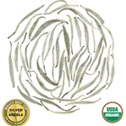 Silver Needle Premium from Rishi Tea