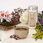 Orchid Temple from Golden Moon Tea