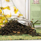 Jasmine Tea from Golden Moon Tea