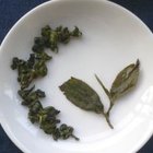 2008 Dong Pian - Si Ji Chun from Tea Masters Blog