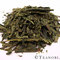 Nourishing Sencha from Teanobi