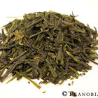 Four Seasons Sencha from Teanobi