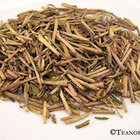 Hojicha Stalk from Teanobi