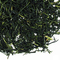 Japan Shincha Kirisakura from TeaGschwendner