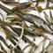 Sparrow Tongue Yellow Tea from Arbor Teas
