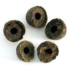 Sweet Green Tuocha Pu-Erh from Ito En