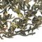 Darjeeling #1 from Adagio Teas