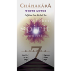 Chanakara Collection: Chakra #7 White Lotus from Stash Tea Company