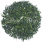 Fukamushi-Sencha Yame from Den's Tea