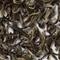 Ming Mei Jasmine from Arbor Teas