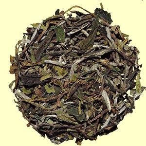 Pai Mu Tan from Metropolitan Tea Company