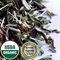 Mint Fusion Organic from Teas Etc