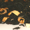 Pink Grapefruit from Teas Etc