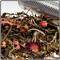 Tropical Peony from Tavalon Tea