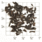 Flowery Orange Pekoe from Upton Tea Imports