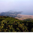 China Superior Tian Mu Special Grade from Kolodziej and Lieder