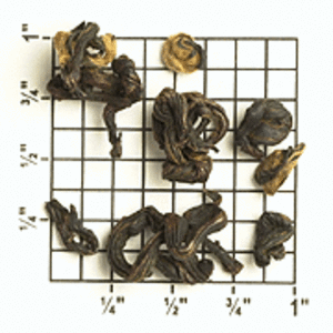 Fujian Province Yin Lan Zao from Upton Tea Imports