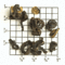 Fujian Province Yin Lan Zao from Upton Tea Imports