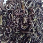 Darjeeling Thurbo 1st Flush 2009 from Grey's Teas