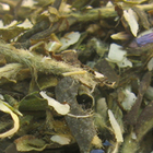 Blue Hawaii from Remedy Teas