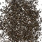 Wu Yi Shan Lapsang from Perennial Tea Room