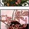 Asian Cherry Rose from The Ivy Keep