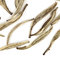 Jasmine Silver Needle from Adagio Teas