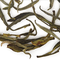 Dongshan Dolce from Adagio Teas
