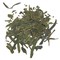 Lung-Ching (Dragonwell) from Specifically Tea