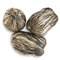 Dancing Blossom (Rare Tea Collection) from The Republic of Tea