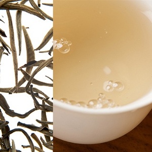 Downy Sprout from Samovar